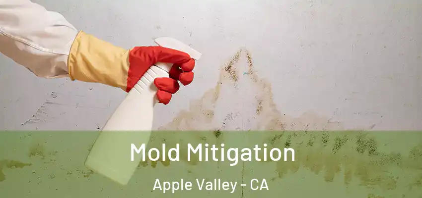  Mold Mitigation Apple Valley - CA