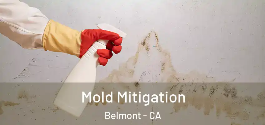  Mold Mitigation Belmont - CA