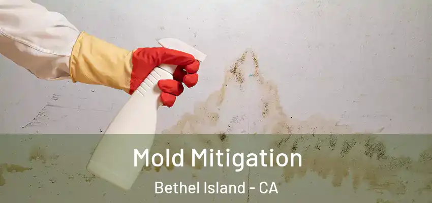  Mold Mitigation Bethel Island - CA