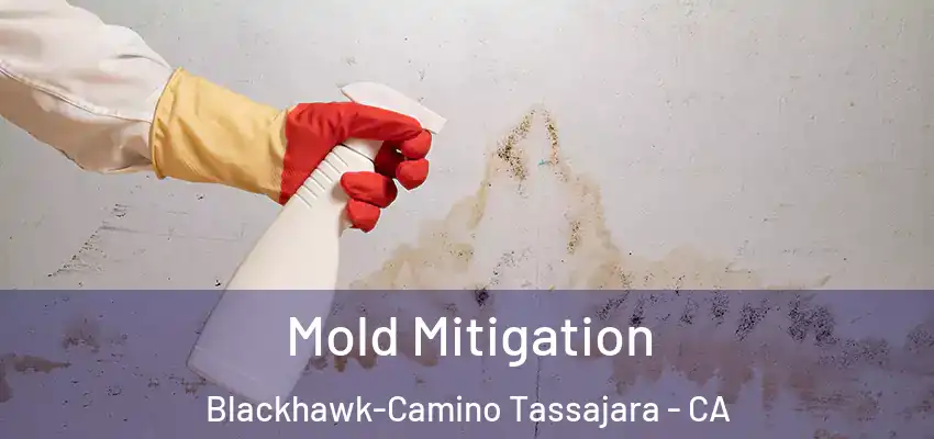  Mold Mitigation Blackhawk-Camino Tassajara - CA