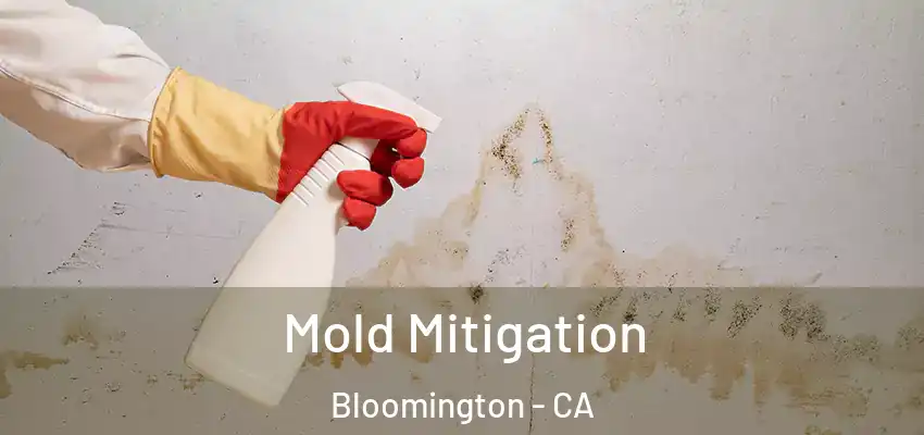  Mold Mitigation Bloomington - CA