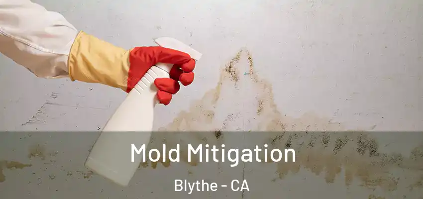  Mold Mitigation Blythe - CA
