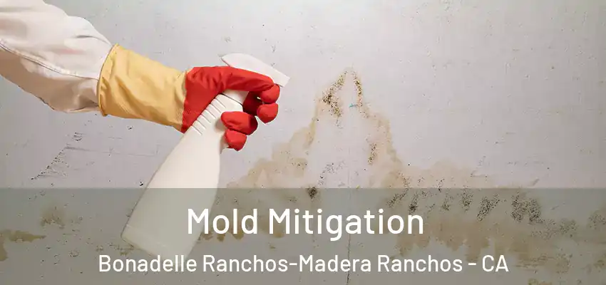  Mold Mitigation Bonadelle Ranchos-Madera Ranchos - CA