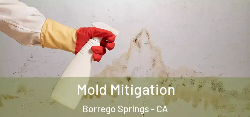 Mold Mitigation Borrego Springs - CA