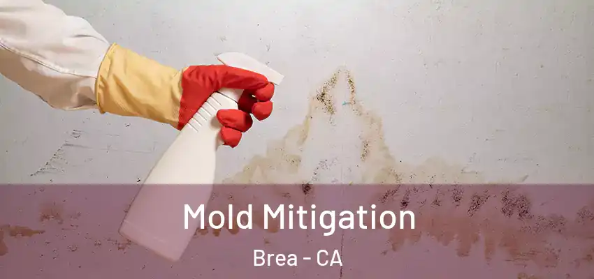  Mold Mitigation Brea - CA