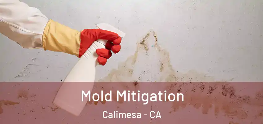  Mold Mitigation Calimesa - CA