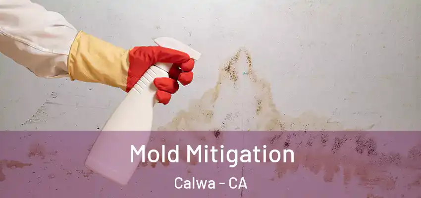  Mold Mitigation Calwa - CA