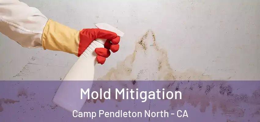  Mold Mitigation Camp Pendleton North - CA