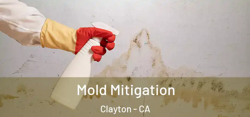  Mold Mitigation Clayton - CA