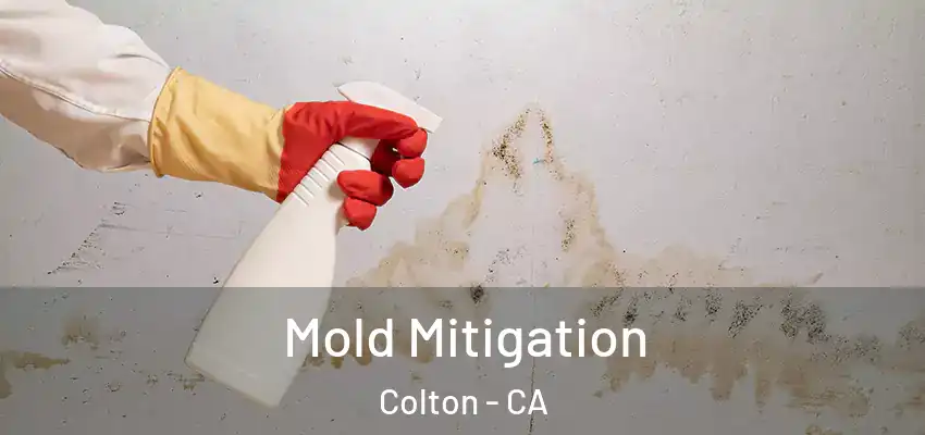  Mold Mitigation Colton - CA