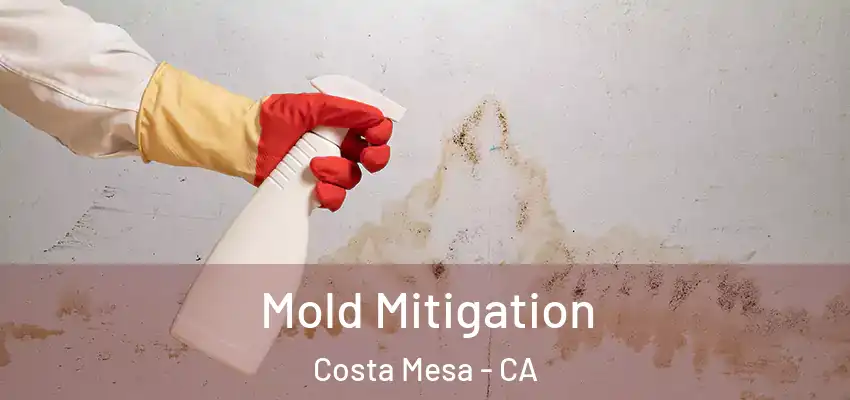  Mold Mitigation Costa Mesa - CA