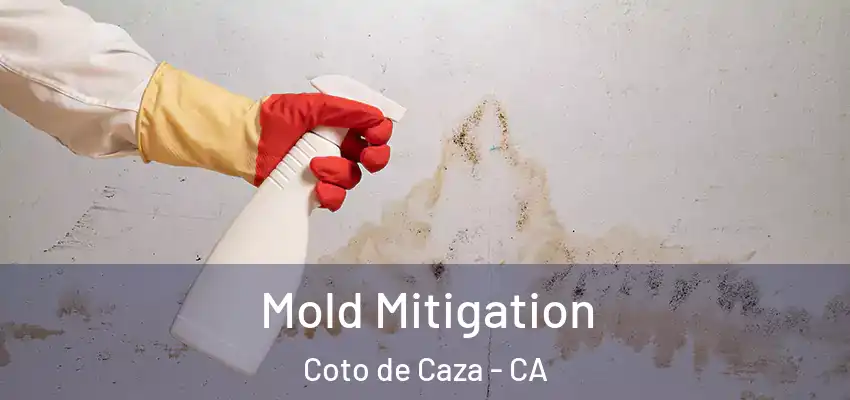  Mold Mitigation Coto de Caza - CA