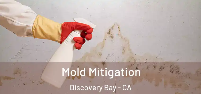  Mold Mitigation Discovery Bay - CA