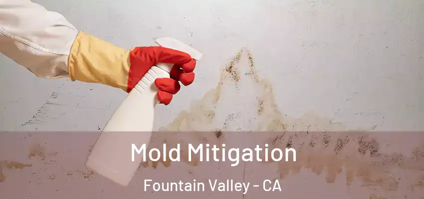  Mold Mitigation Fountain Valley - CA