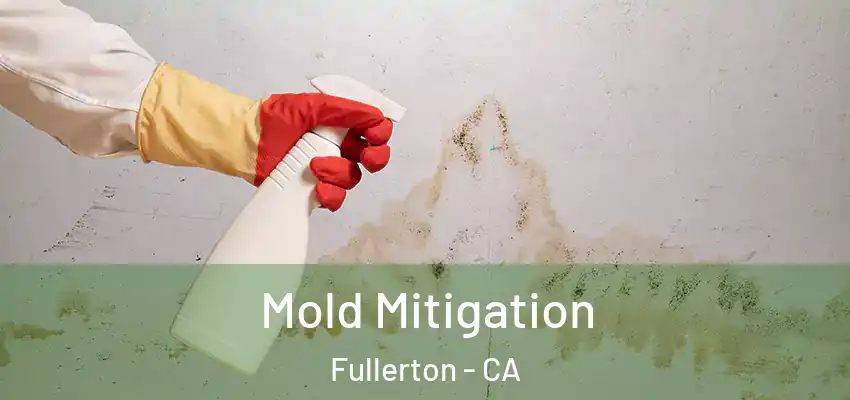  Mold Mitigation Fullerton - CA