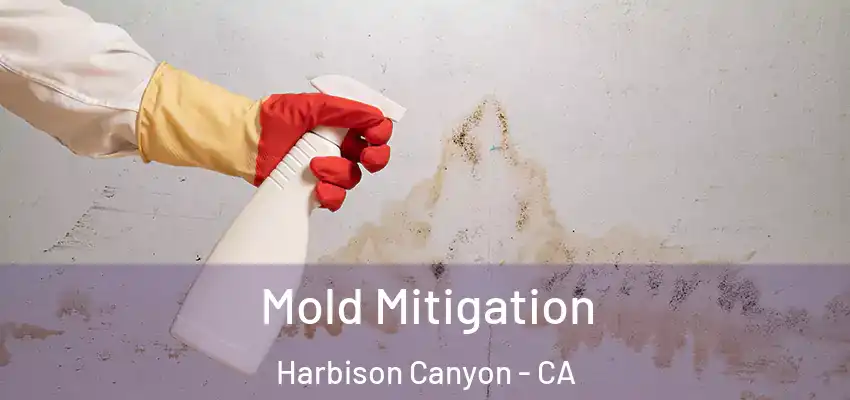  Mold Mitigation Harbison Canyon - CA