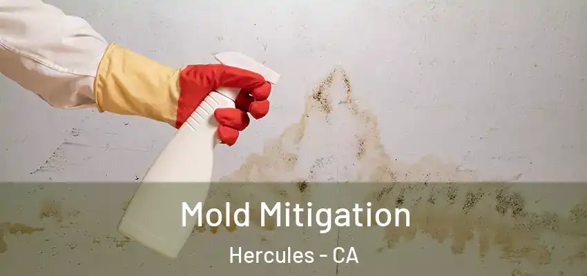  Mold Mitigation Hercules - CA