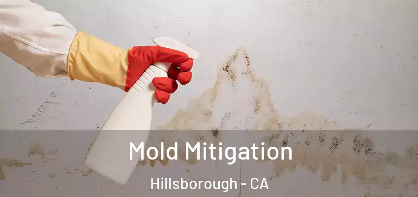  Mold Mitigation Hillsborough - CA