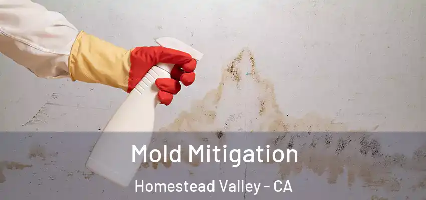  Mold Mitigation Homestead Valley - CA