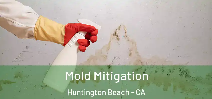  Mold Mitigation Huntington Beach - CA