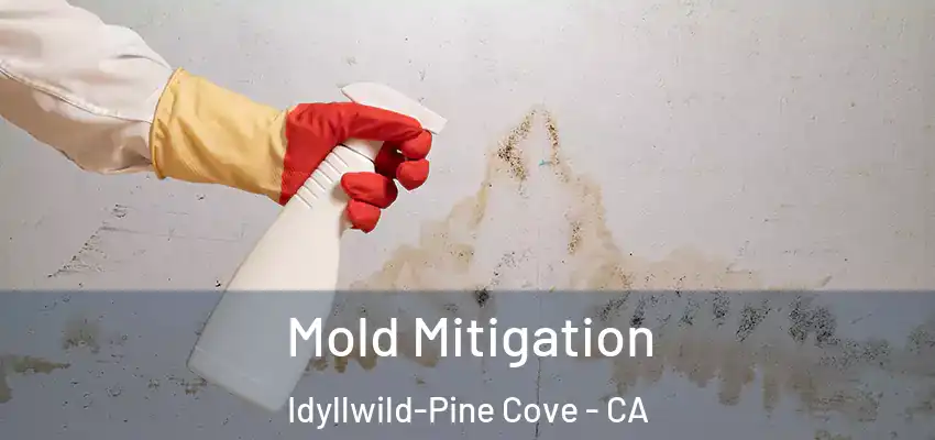  Mold Mitigation Idyllwild-Pine Cove - CA