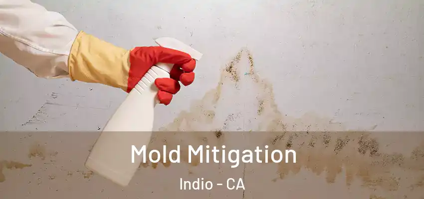  Mold Mitigation Indio - CA