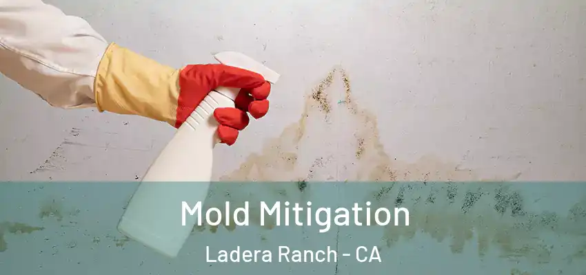  Mold Mitigation Ladera Ranch - CA