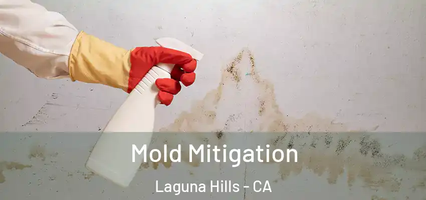  Mold Mitigation Laguna Hills - CA