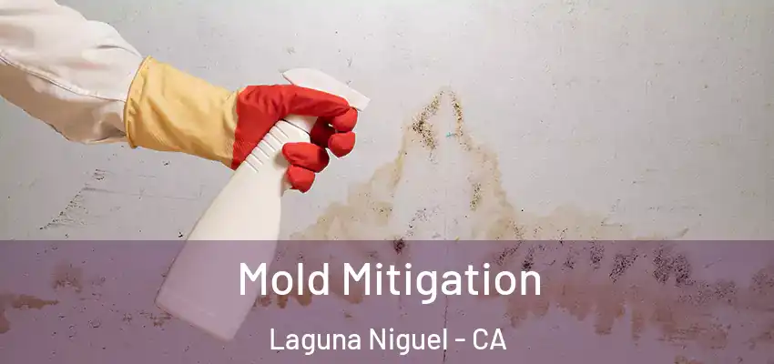  Mold Mitigation Laguna Niguel - CA