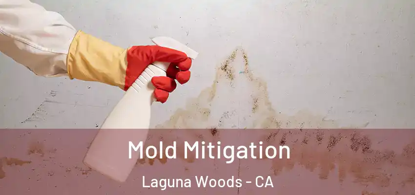  Mold Mitigation Laguna Woods - CA