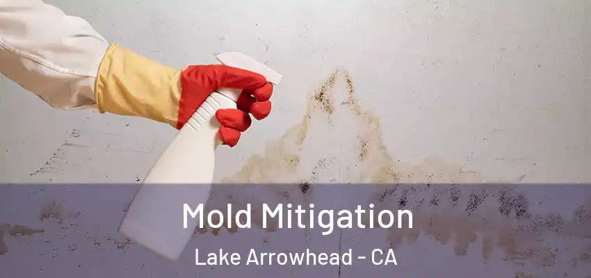  Mold Mitigation Lake Arrowhead - CA