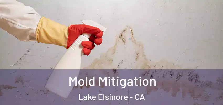  Mold Mitigation Lake Elsinore - CA