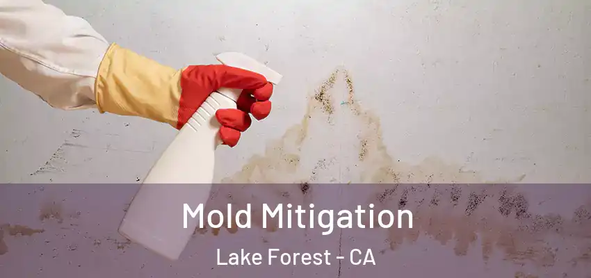  Mold Mitigation Lake Forest - CA