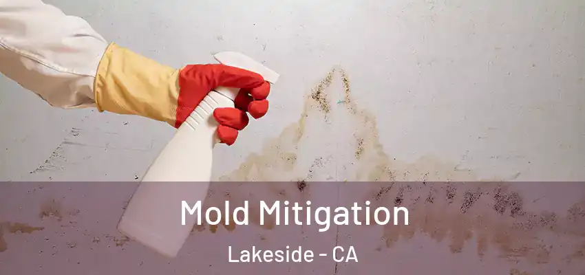  Mold Mitigation Lakeside - CA
