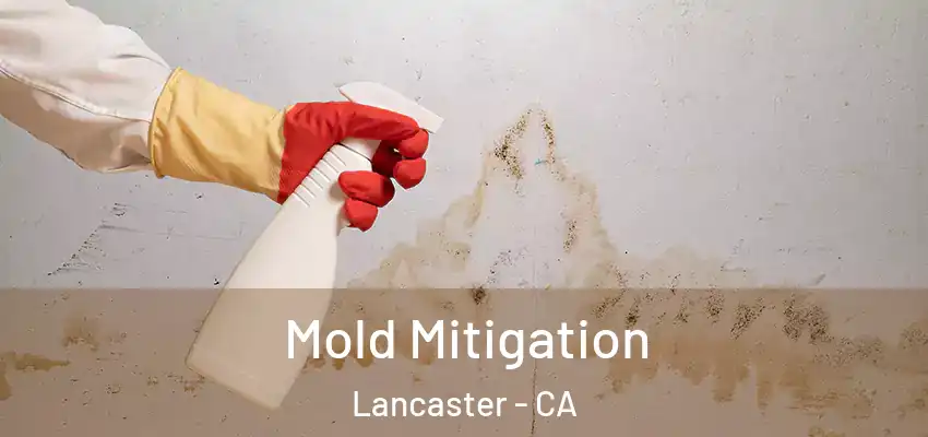  Mold Mitigation Lancaster - CA