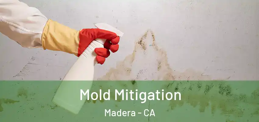  Mold Mitigation Madera - CA