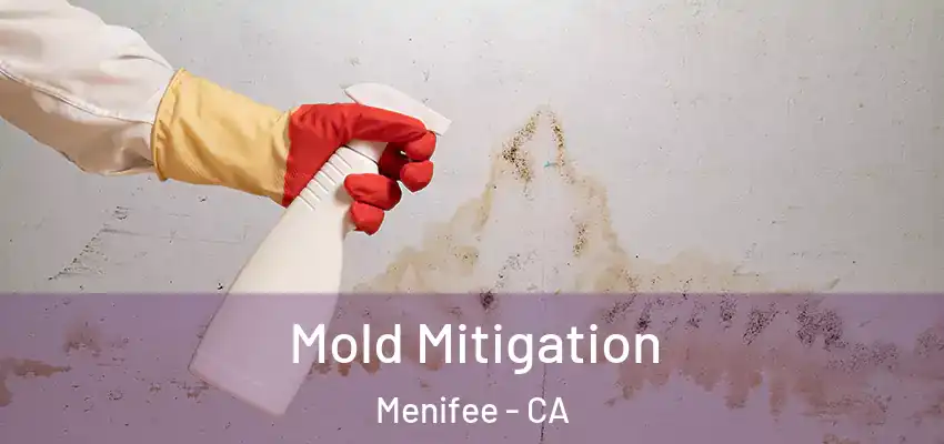  Mold Mitigation Menifee - CA