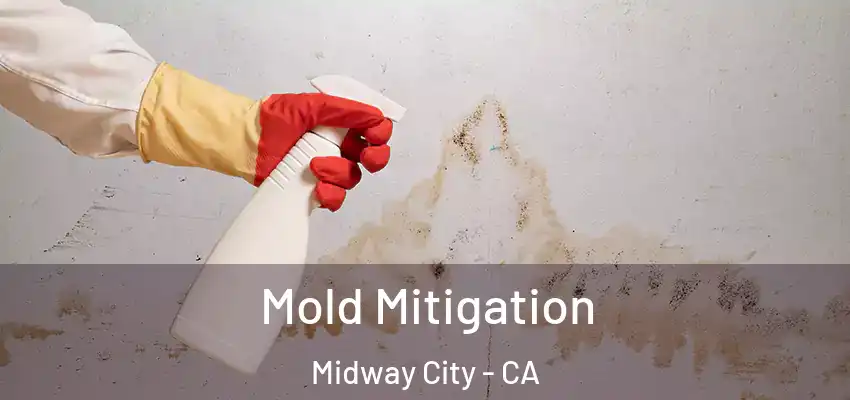  Mold Mitigation Midway City - CA