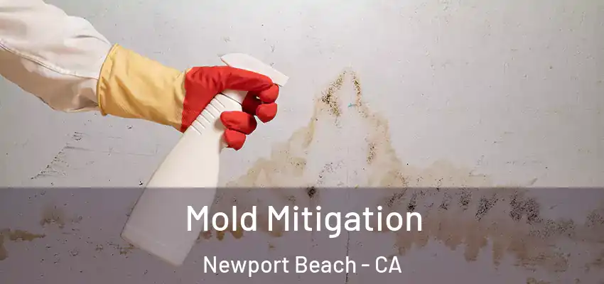  Mold Mitigation Newport Beach - CA