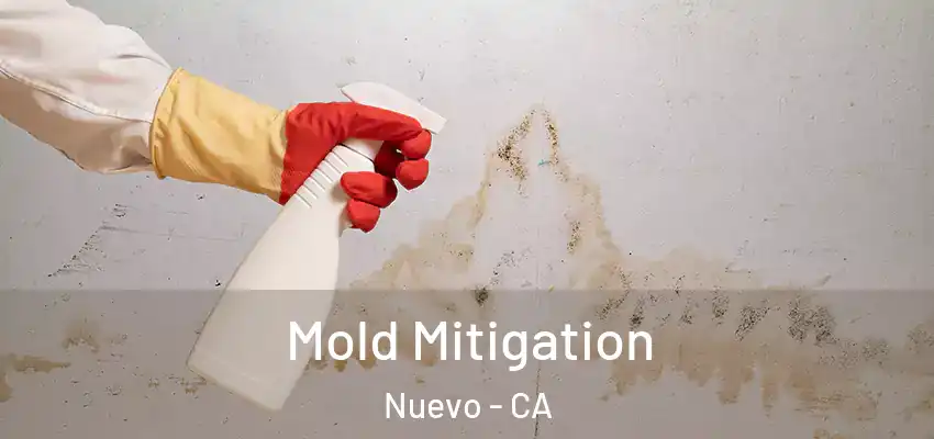  Mold Mitigation Nuevo - CA