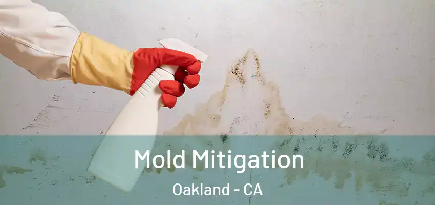  Mold Mitigation Oakland - CA