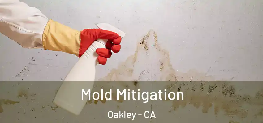  Mold Mitigation Oakley - CA