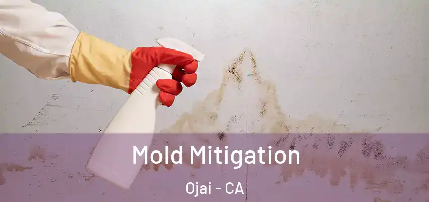  Mold Mitigation Ojai - CA
