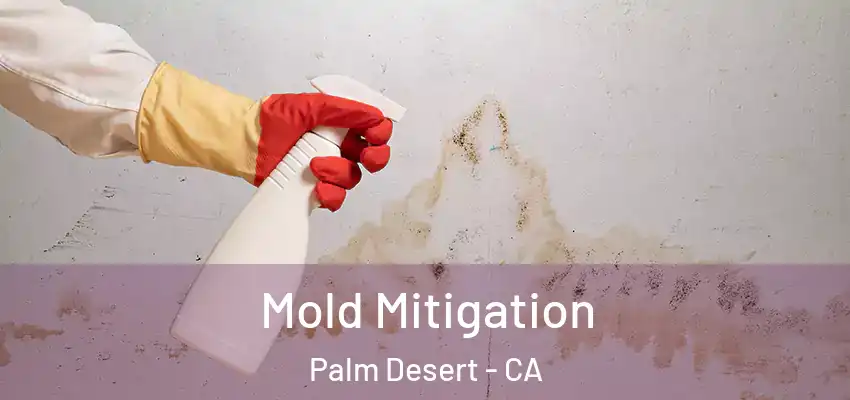  Mold Mitigation Palm Desert - CA