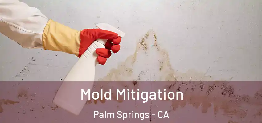  Mold Mitigation Palm Springs - CA