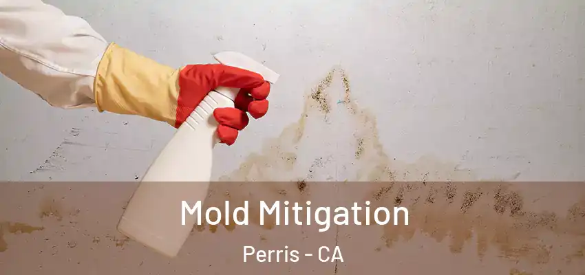  Mold Mitigation Perris - CA