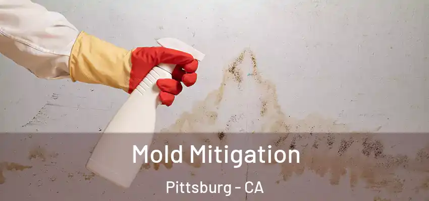  Mold Mitigation Pittsburg - CA