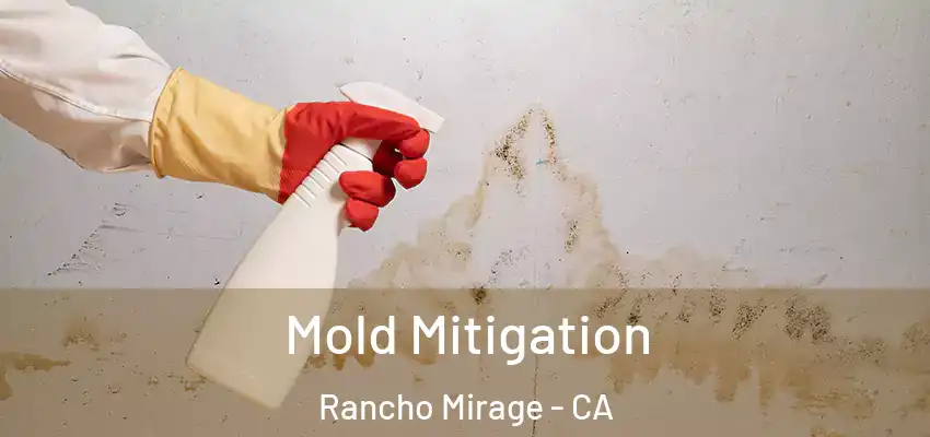  Mold Mitigation Rancho Mirage - CA