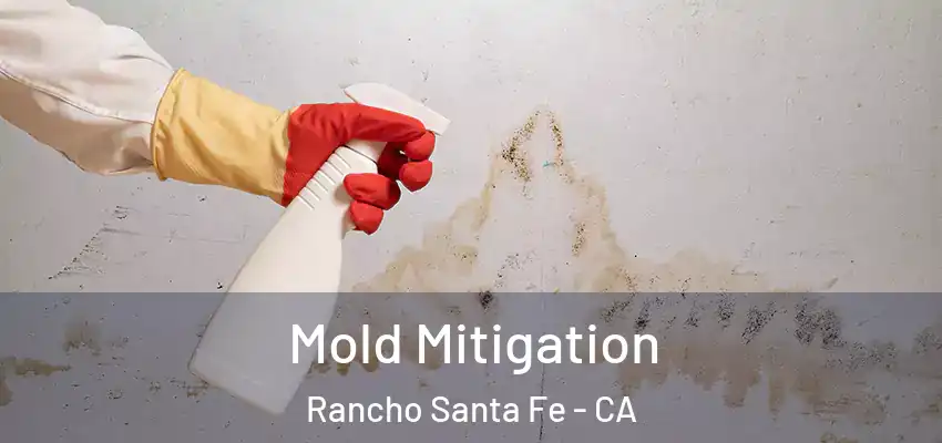  Mold Mitigation Rancho Santa Fe - CA