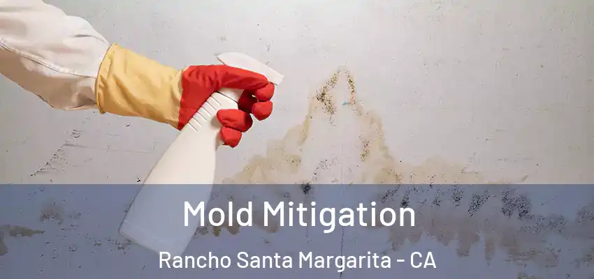  Mold Mitigation Rancho Santa Margarita - CA